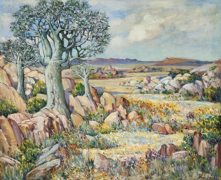 Namaqualand kokerboom